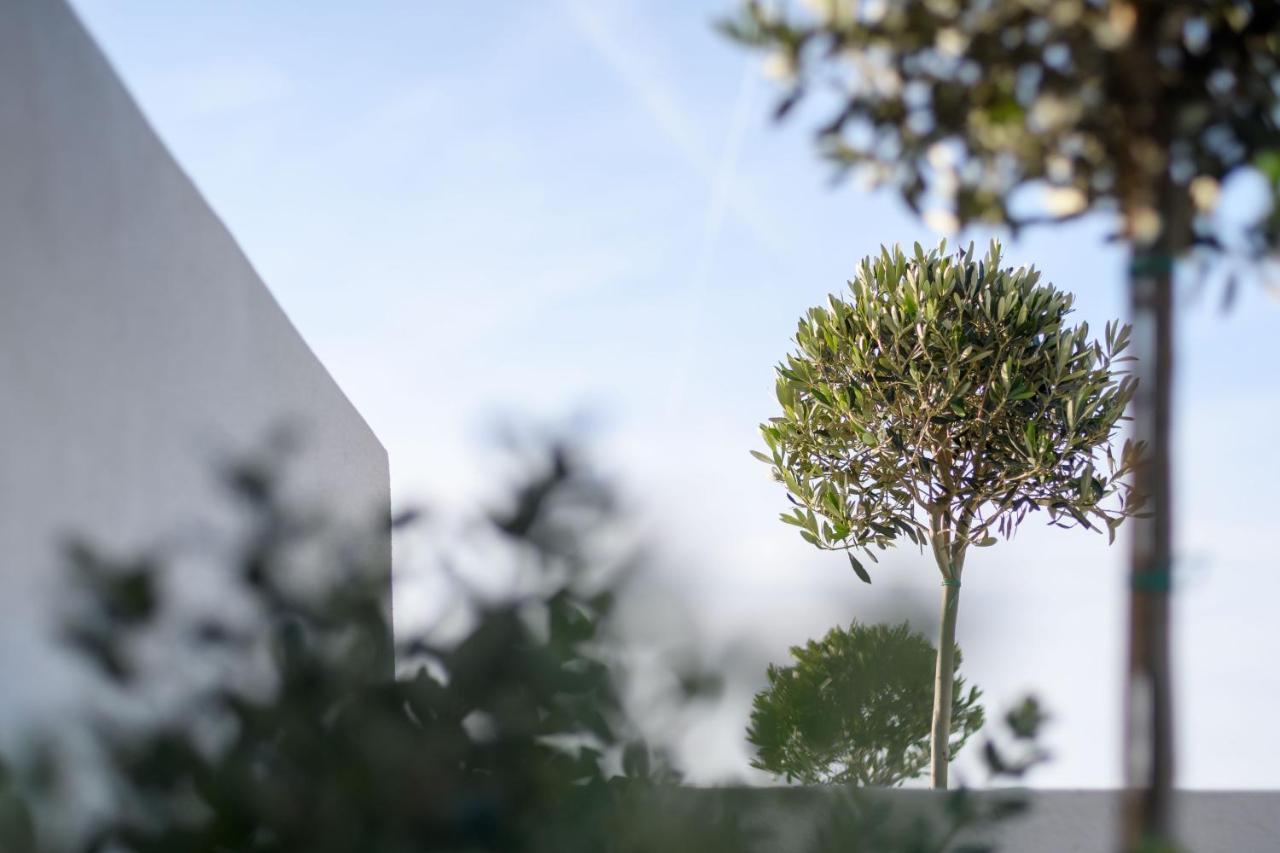 Potnia Theron Suites Akrotírion Dış mekan fotoğraf